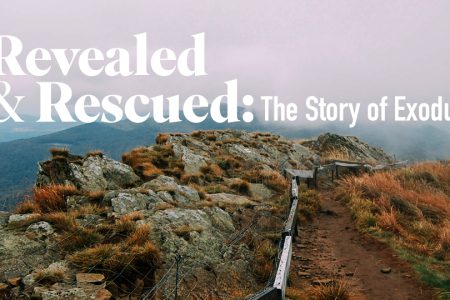 Revealed & Rescued: The Story of Exodus